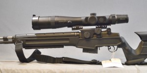Springfield M1A Archangel & Burris Scope acsys